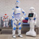 A family of humanoid robots